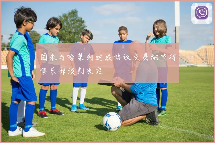 国米与哈莱利达成协议交易细节待俱乐部谈判决定